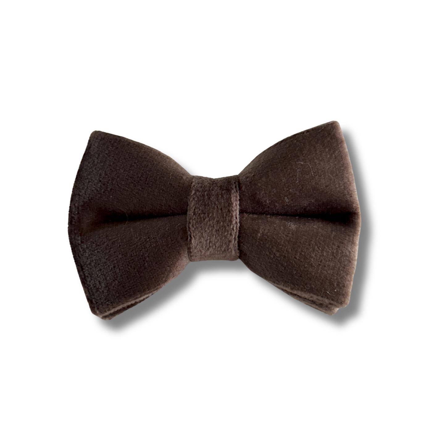 Velvet Collar and Bowtie Set - Espresso Brown