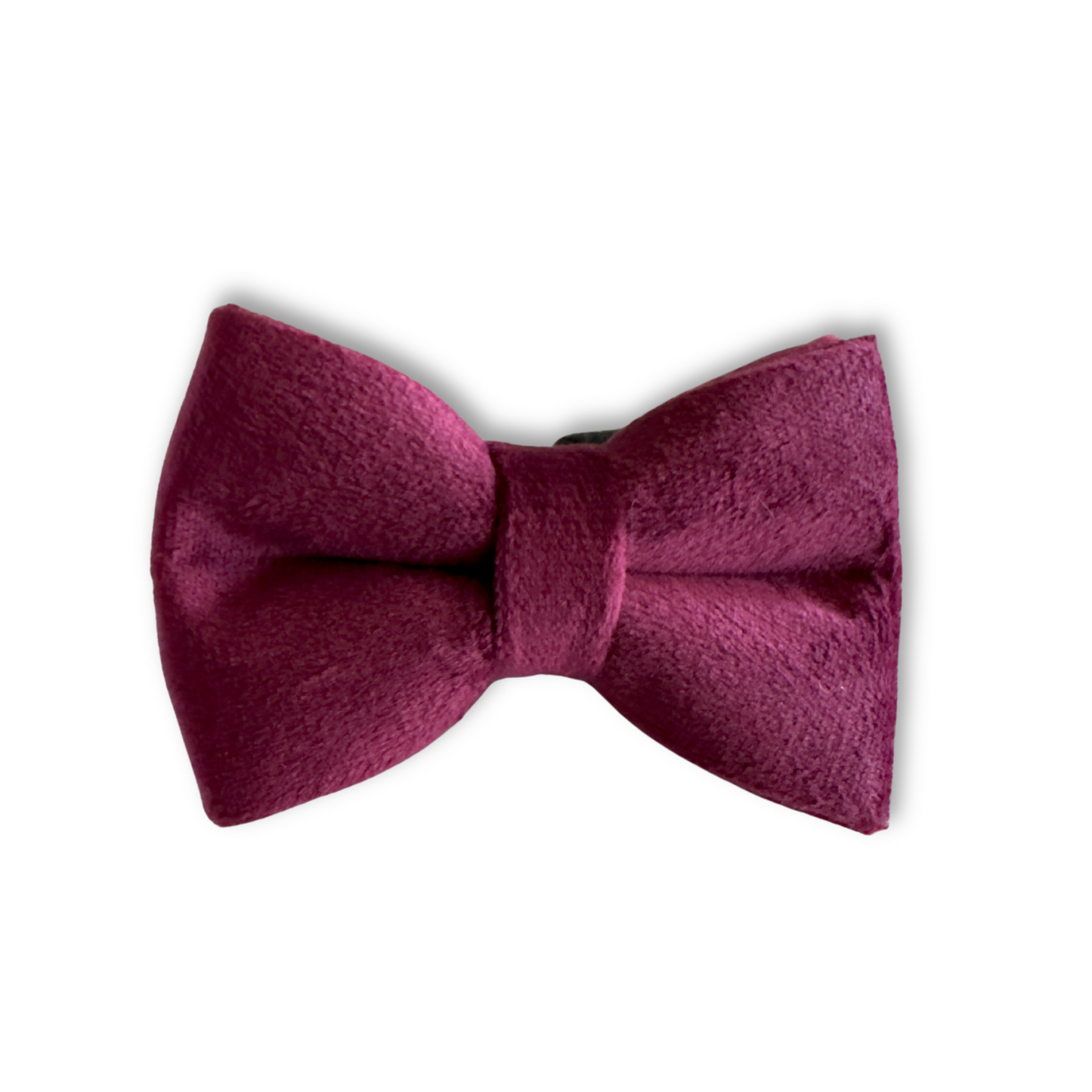Velvet Cat Collar and Bowtie Set  — Classic Red